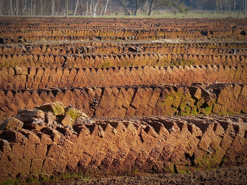Coconut Coir