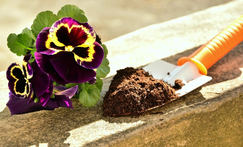 Potting Soil